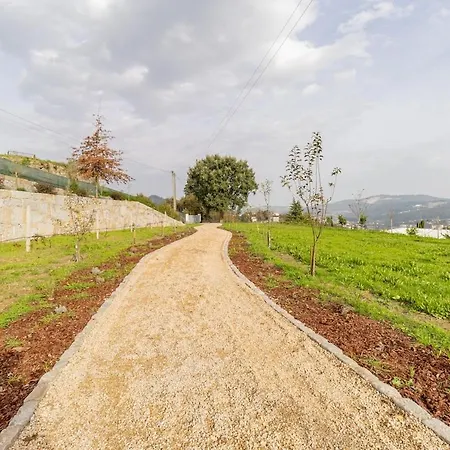 - Quinta Da Giesteira Quiet With Private Outdoor In Penafiel, Oporto