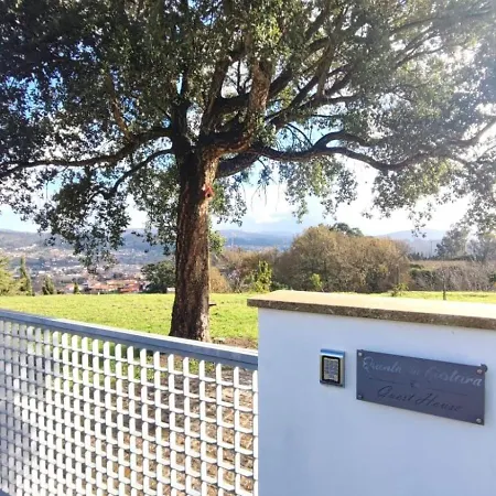 - Quinta Da Giesteira Quiet With Private Outdoor In Penafiel, Oporto Feriehus *