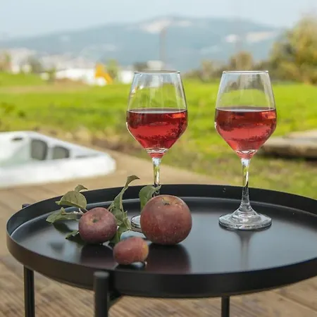 Feriehus - Quinta Da Giesteira Quiet With Private Outdoor In Penafiel, Oporto