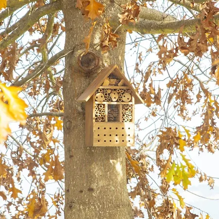 - Quinta Da Giesteira Quiet With Private Outdoor In Penafiel, Oporto Pinheiro (Penafiel)