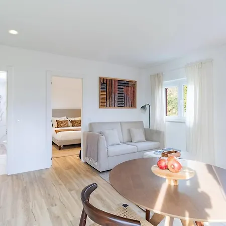 - Quinta Da Giesteira Quiet With Private Outdoor In Penafiel, Oporto *