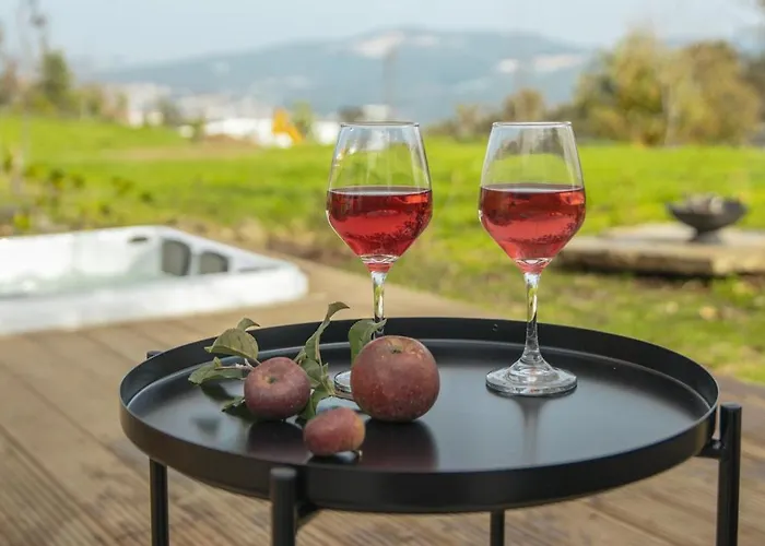 Casa vacanze - Quinta Da Giesteira Quiet With Private Outdoor In Penafiel, Oporto