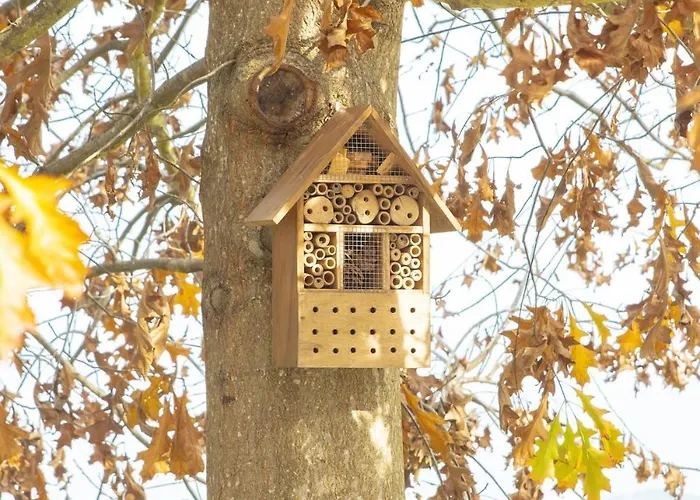 - Quinta Da Giesteira Quiet With Private Outdoor In Penafiel, Oporto Pinheiro (Penafiel)