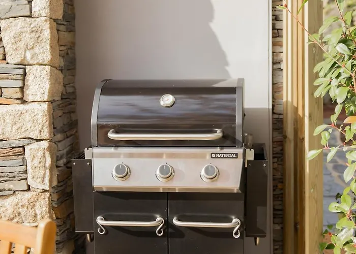 Casa vacanze - Quinta Da Giesteira Quiet With Private Outdoor In Penafiel, Oporto