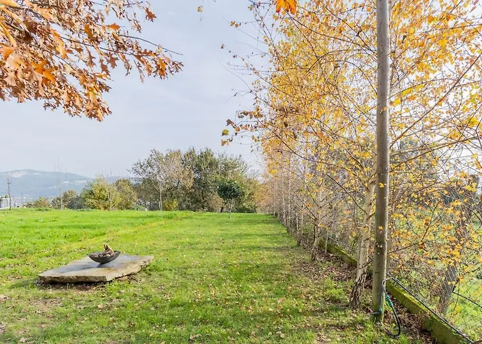 Casa vacanze - Quinta Da Giesteira Quiet With Private Outdoor In Penafiel, Oporto Pinheiro (Penafiel)